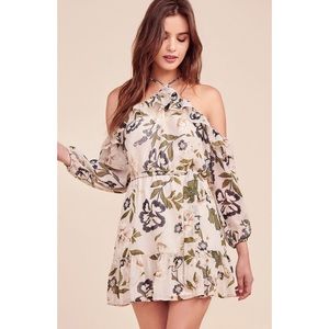 NWT BB Dakota dress•